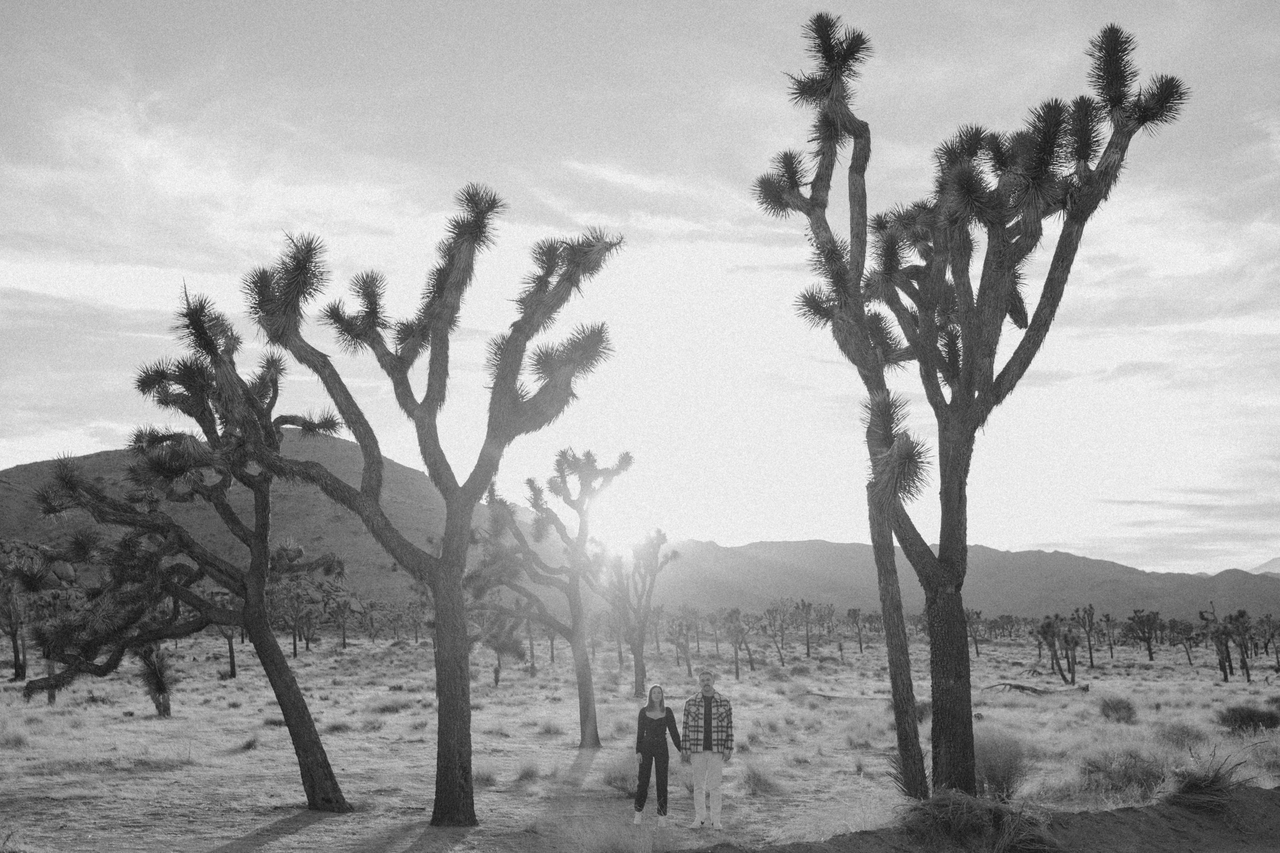 In Home and National Park Couples Session – Joshua Tree, California